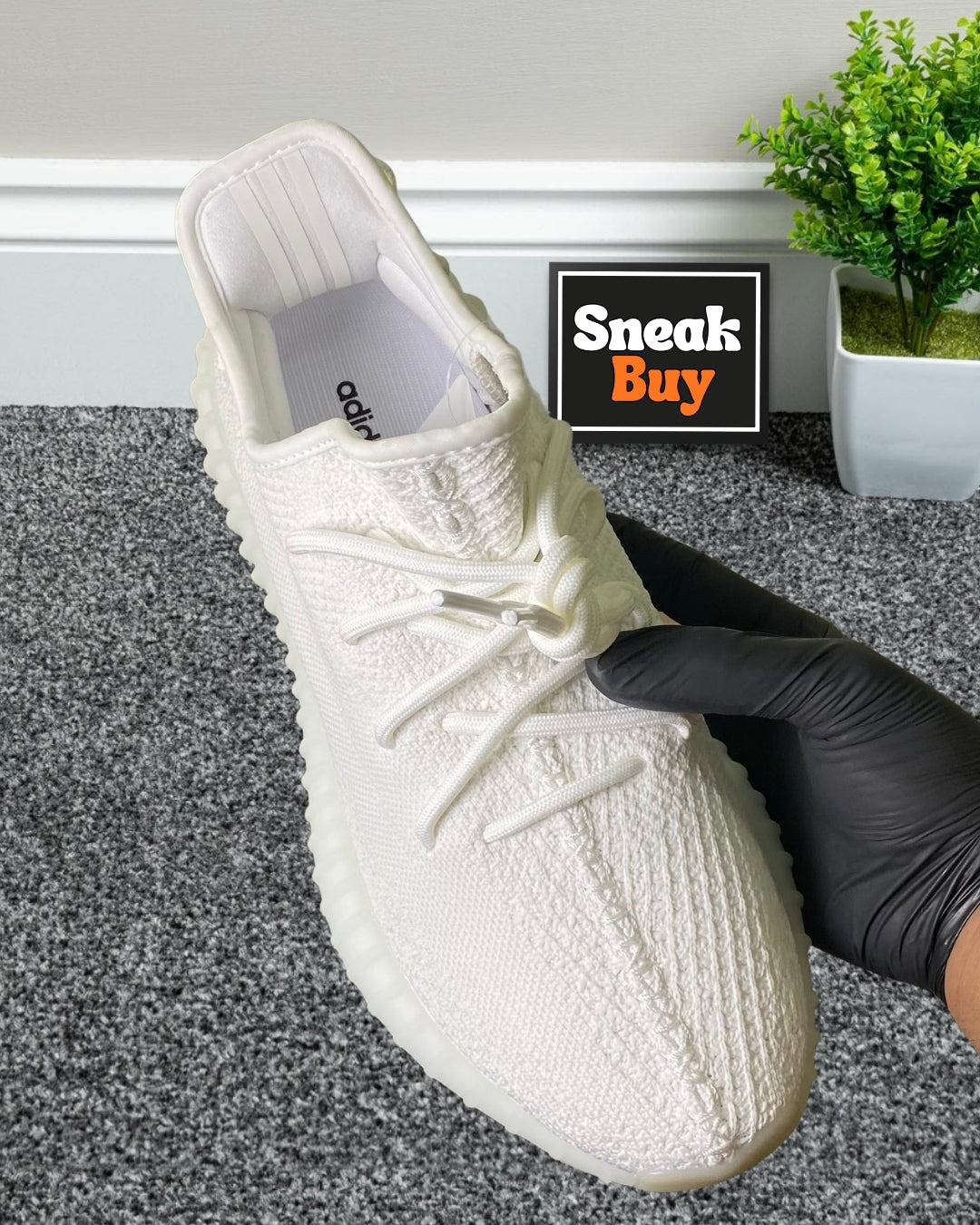 Adidas Yeezy 350 “White”