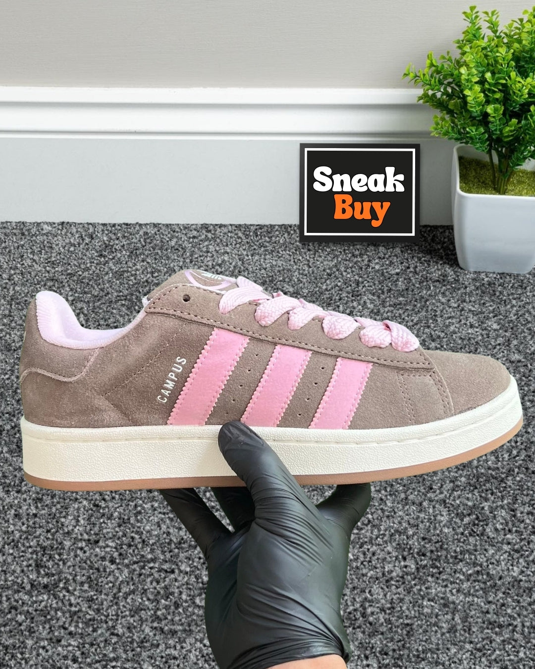 Adidas Campus 00s “Dust Cargo Clear Pink”