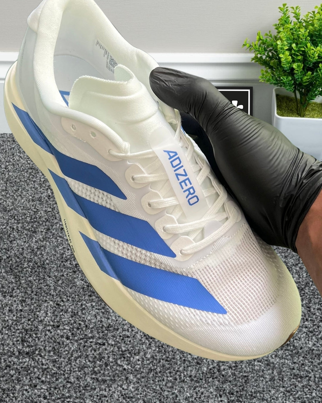 Adizero Evo SL "White Royal Blue"