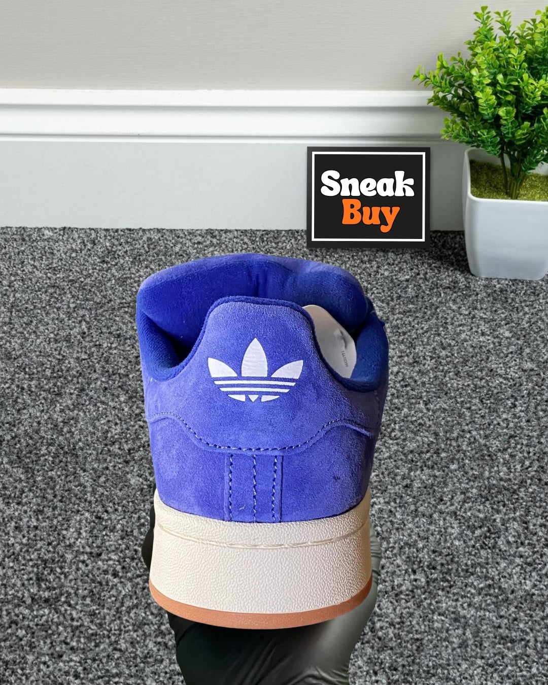 Adidas Campus 00s “Lucid Blue”