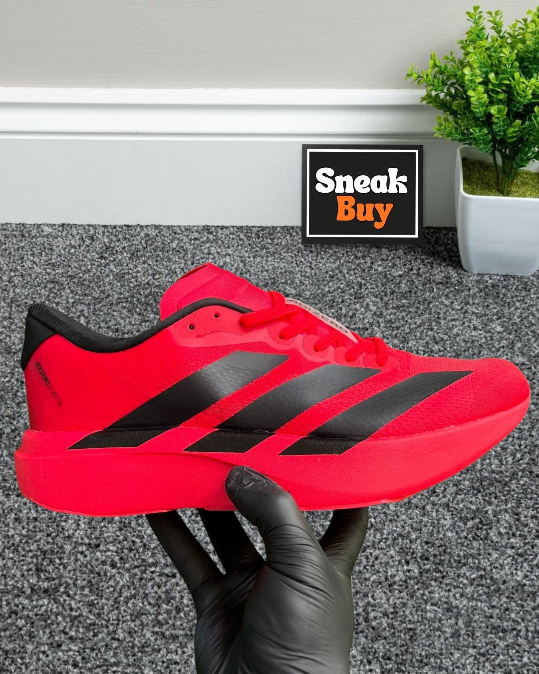 Adidas Adizero Evo SL “Lucid Red Black”