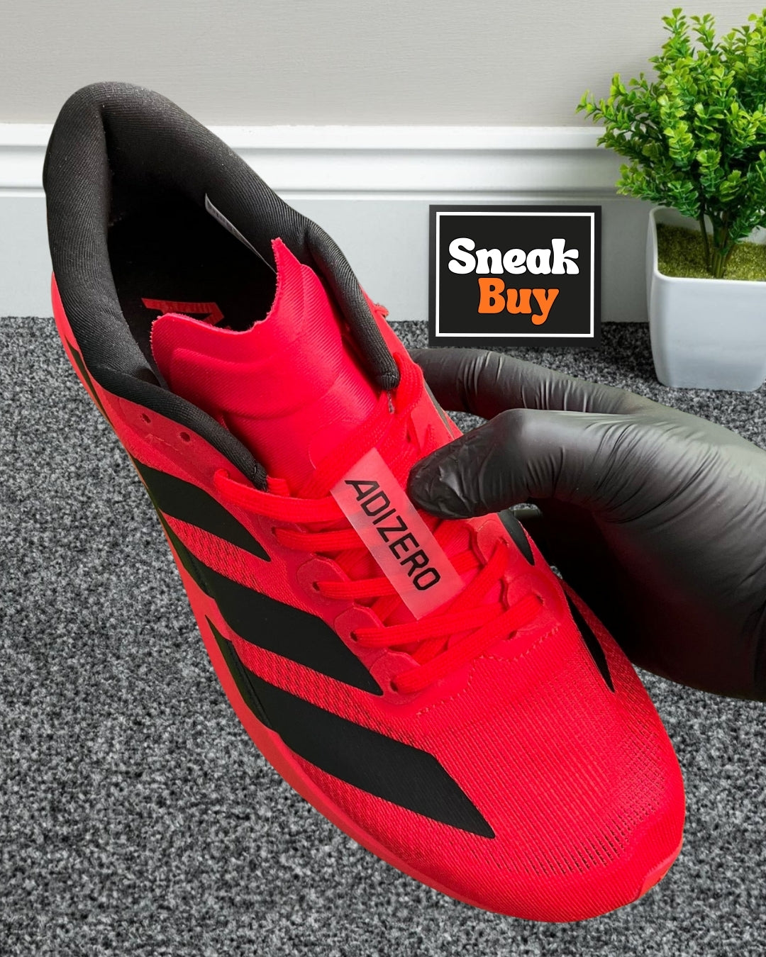 Adidas Adizero Evo SL “Lucid Red Black”