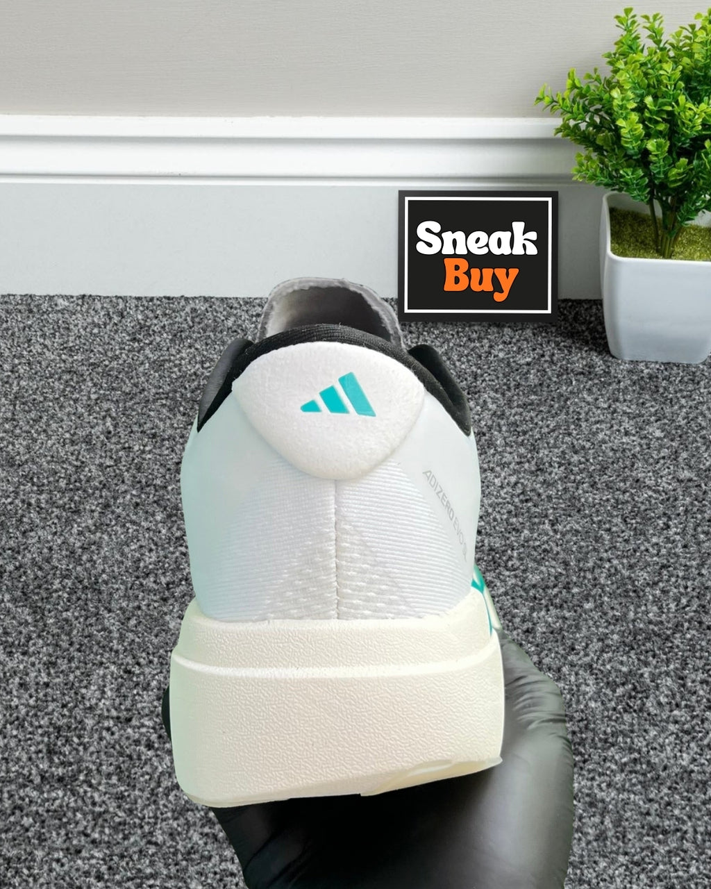 Adidas Adizero Evo SL “White Pure Teal”